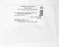 Image Associated With the Occurence